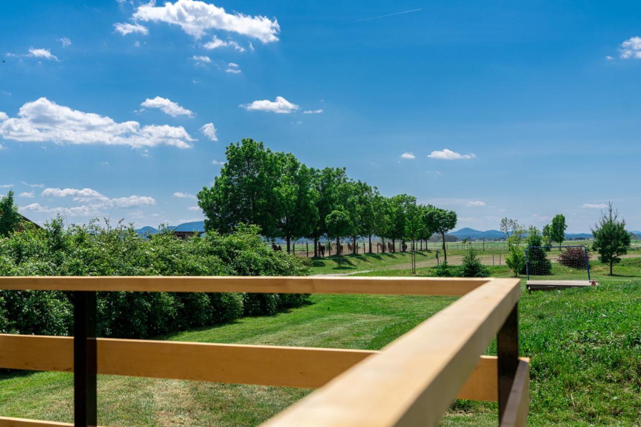 Horse Glamping Park Ξενοδοχείο Cirkovce Εξωτερικό φωτογραφία